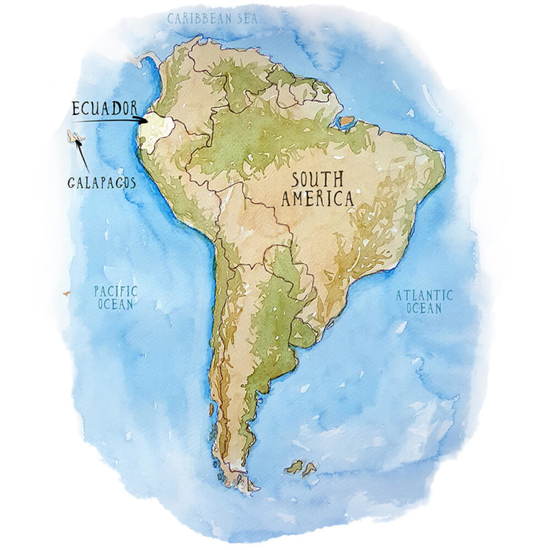 Destination image